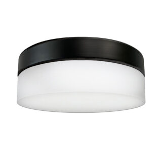 Contemporary Ceiling Mount Fixtures